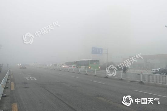 今早，河北衡水枣强县被浓雾笼罩，局地能见度不足百米。（图/秦楠）